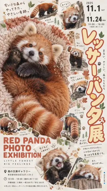 海报图片