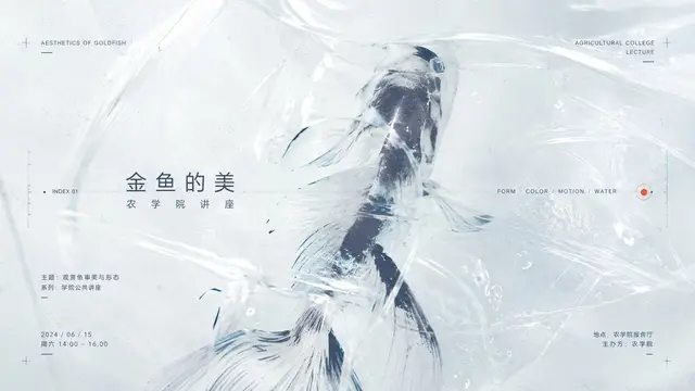 趣味配图 2