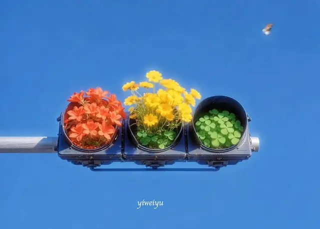 3D配图 2