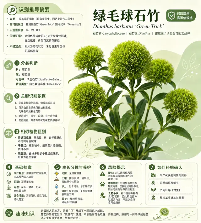 趣味配图 2