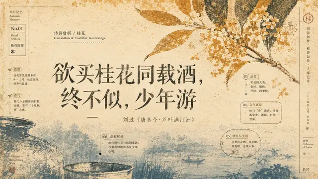 国风配图 2