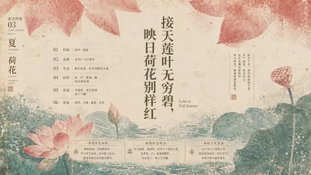 国风配图 4