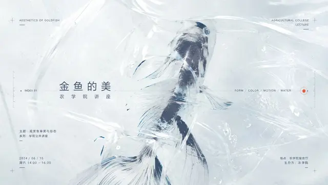 趣味配图 2